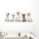 Group Kitten and Puppies Wall Decal