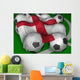 england flag soccer Wall Mural