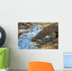 Komodo Dragon Wall Mural