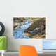 Komodo Dragon Wall Mural