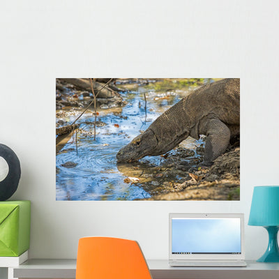 Komodo Dragon Wall Decal shown on a wall