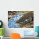 Komodo Dragon Wall Mural