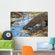 Komodo Dragon Wall Mural