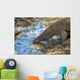 Komodo Dragon Wall Mural
