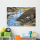 Komodo Dragon Wall Mural