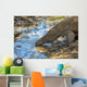 Komodo Dragon Wall Mural