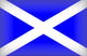 Scottish Flag Wall Decal