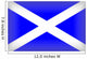 Scottish Flag Wall Mural
