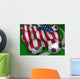 Usa Flag Soccer Wall Mural