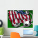 Usa Flag Soccer Wall Mural