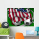 Usa Flag Soccer Wall Mural