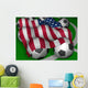 Usa Flag Soccer Wall Mural