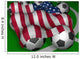 Usa Flag Soccer Wall Mural