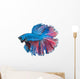 Beautiful Betta Splendens Isolated on White Background Wall Decal
