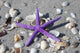 Purple Star Wall Decal