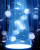 Movie Or Theater Curtain Wall Decal