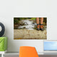 Hiking shoes legs on trunk on mountain trail. Wall Mural