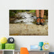 Hiking shoes legs on trunk on mountain trail. Wall Mural