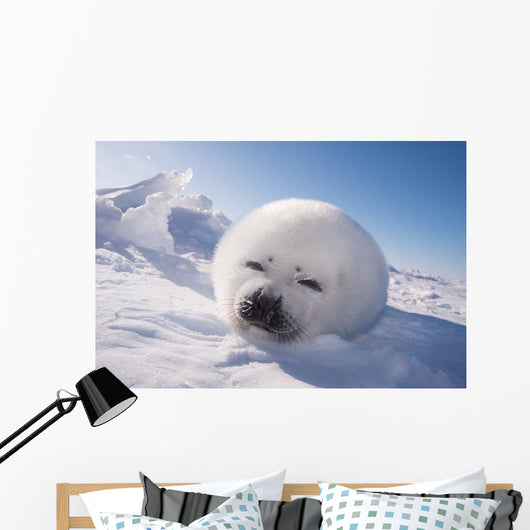 Sleeping White Seal Pup Wall Decal
