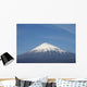 mont fujiyama Wall Mural