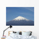 mont fujiyama Wall Mural
