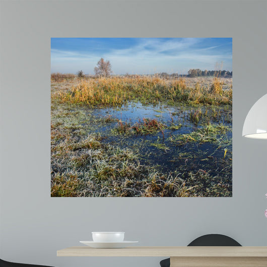 Autumn Wall Decal
