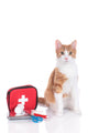 First Aid Cat Wall Decal