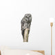 Owl Sitting Tree Wall Decal