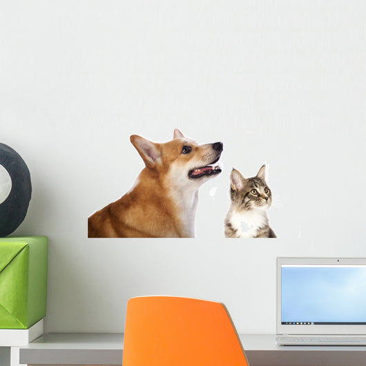 dog and cat Wall Decal