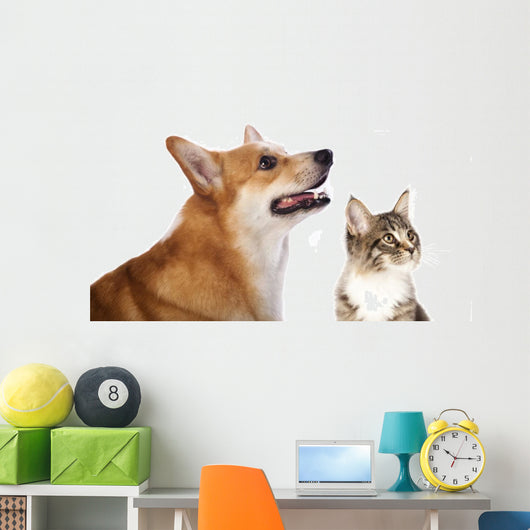 dog and cat Wall Decal