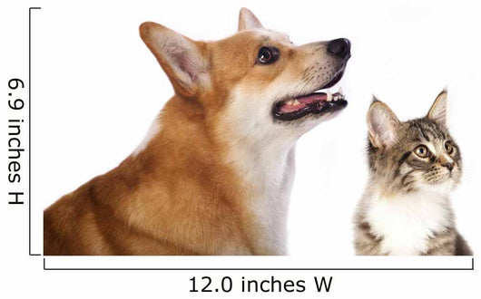 dog and cat Wall Decal