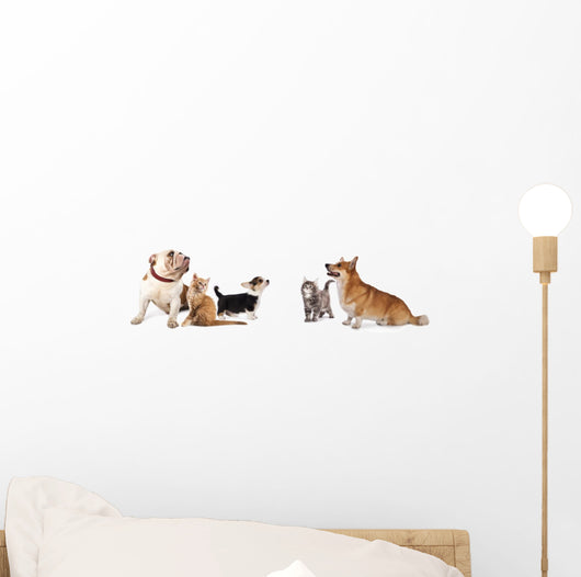 group of dogs and cat look up Wall Decal