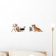 group of dogs and cat look up Wall Decal