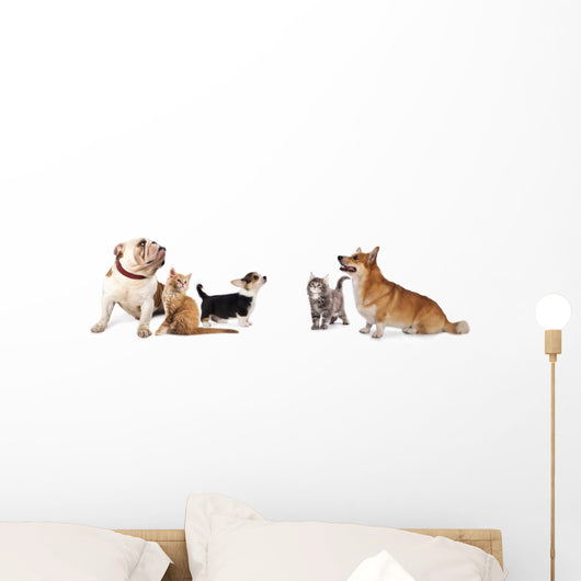 group of dogs and cat look up Wall Decal