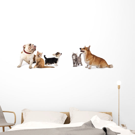 group of dogs and cat look up Wall Decal