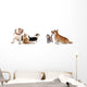 group of dogs and cat look up Wall Decal