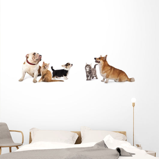 group of dogs and cat look up Wall Decal
