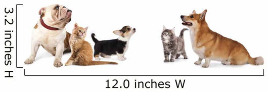 group of dogs and cat look up Wall Decal