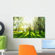 Summer Forest with Sun Wall Decal
