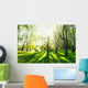 Summer Forest with Sun Wall Decal
