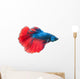 Beautiful Betta Splendens White Wall Decal