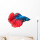 Beautiful Betta Splendens White Wall Decal