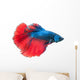 Beautiful Betta Splendens White Wall Decal