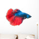 Beautiful Betta Splendens White Wall Decal