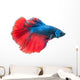 Beautiful Betta Splendens White Wall Decal