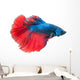 Beautiful Betta Splendens White Wall Decal