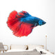 Beautiful Betta Splendens White Wall Decal