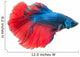 Beautiful Betta Splendens White Wall Decal