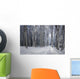 Dreamy Winter Forest with Wall Decal