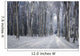 Dreamy Winter Forest with Wall Decal